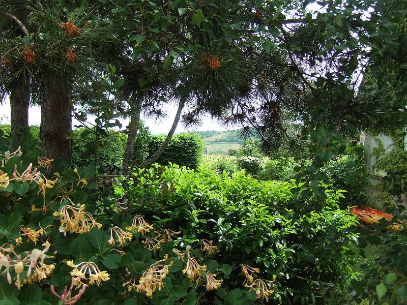 2010-05- (97).JPG